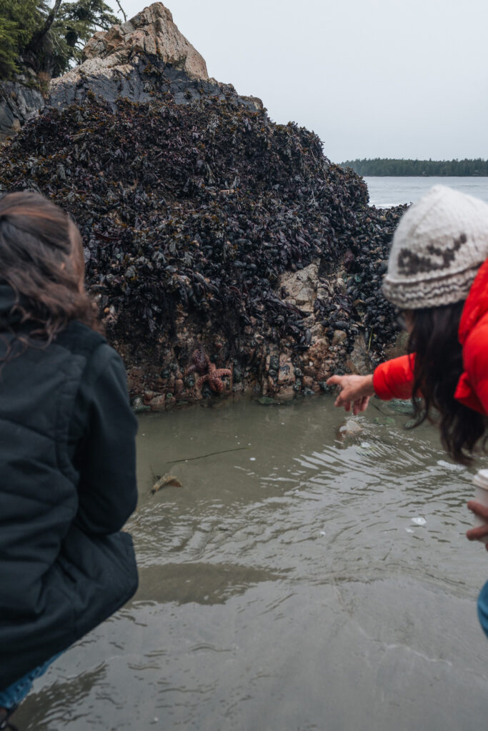 @shorewoodcollective