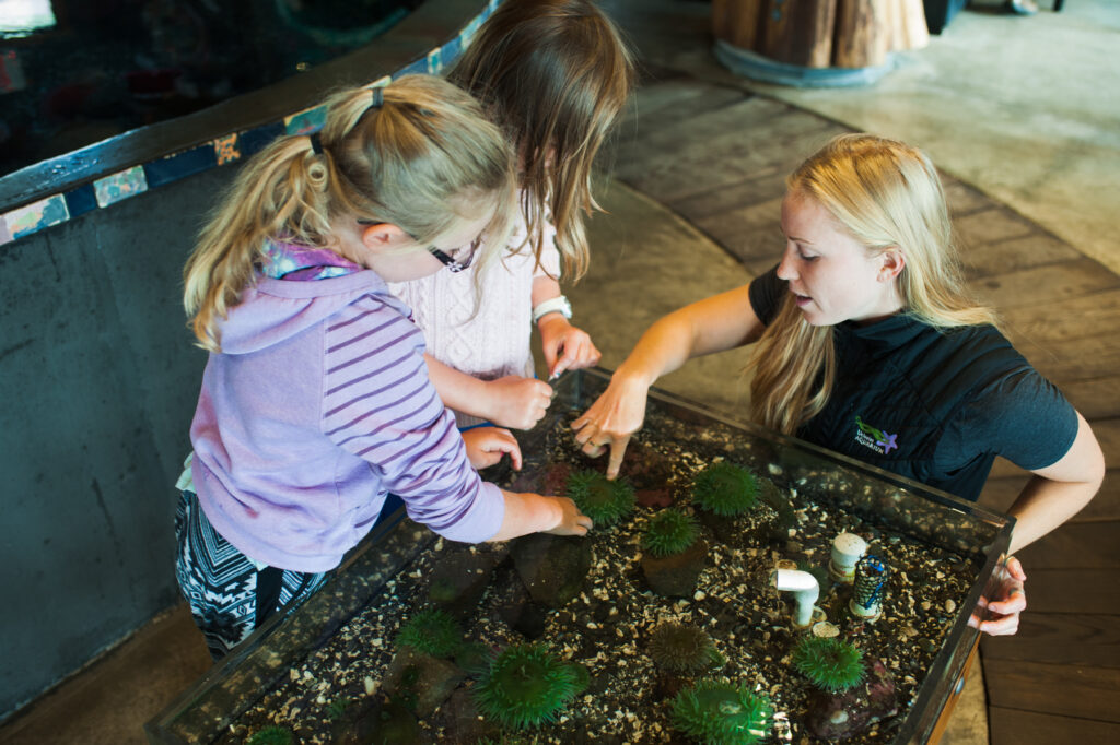 touch tank at Ukee Aquarium